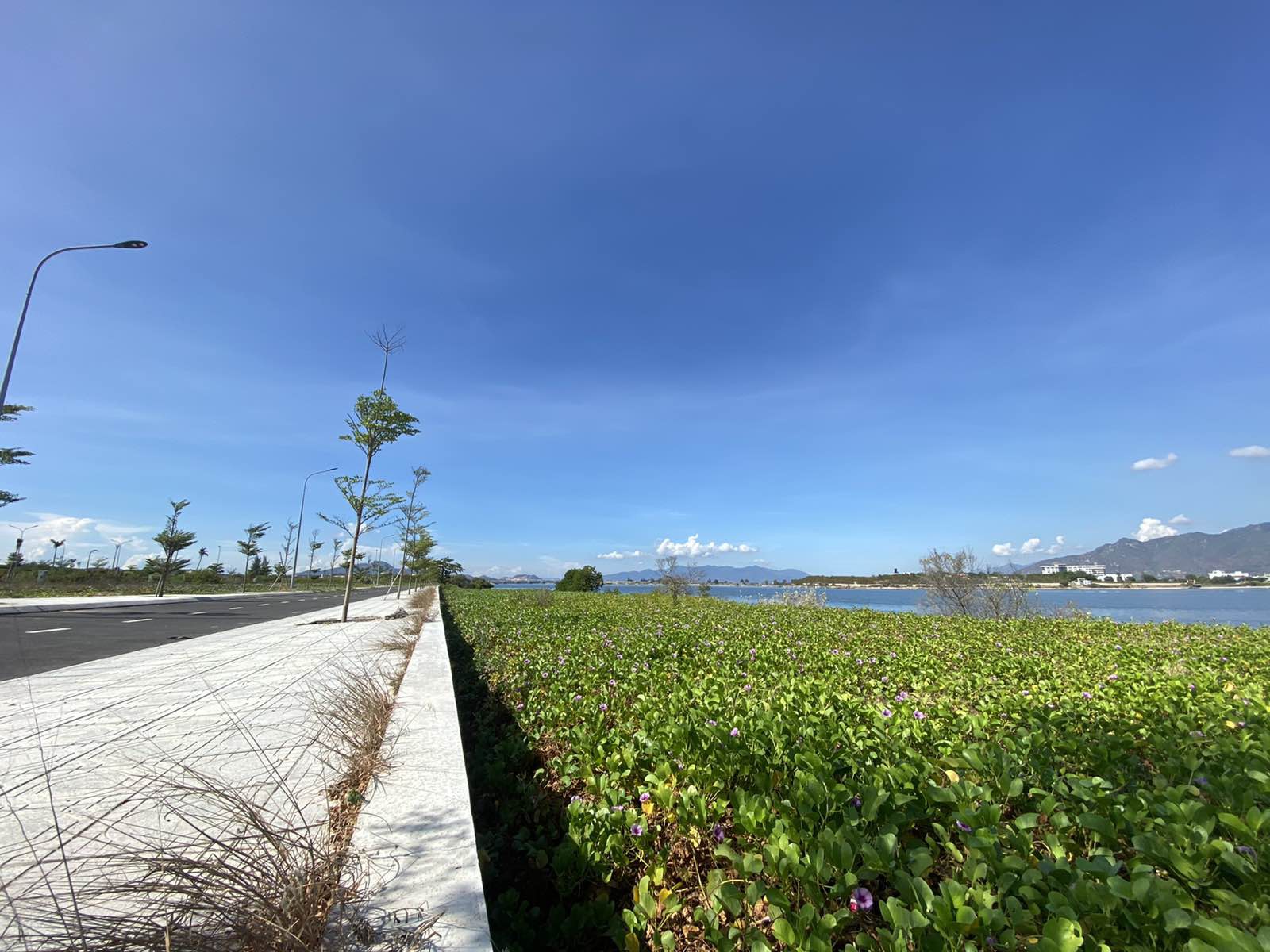 Cần bán lô view đầm dự án Cam Ranh City Gate, DT: 200m2 giá chỉ từ 40tr/m2