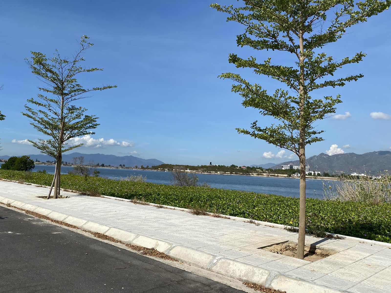 Cần bán lô view đầm dự án Cam Ranh City Gate, DT: 200m2 giá chỉ từ 40tr/m2 - Hình 1