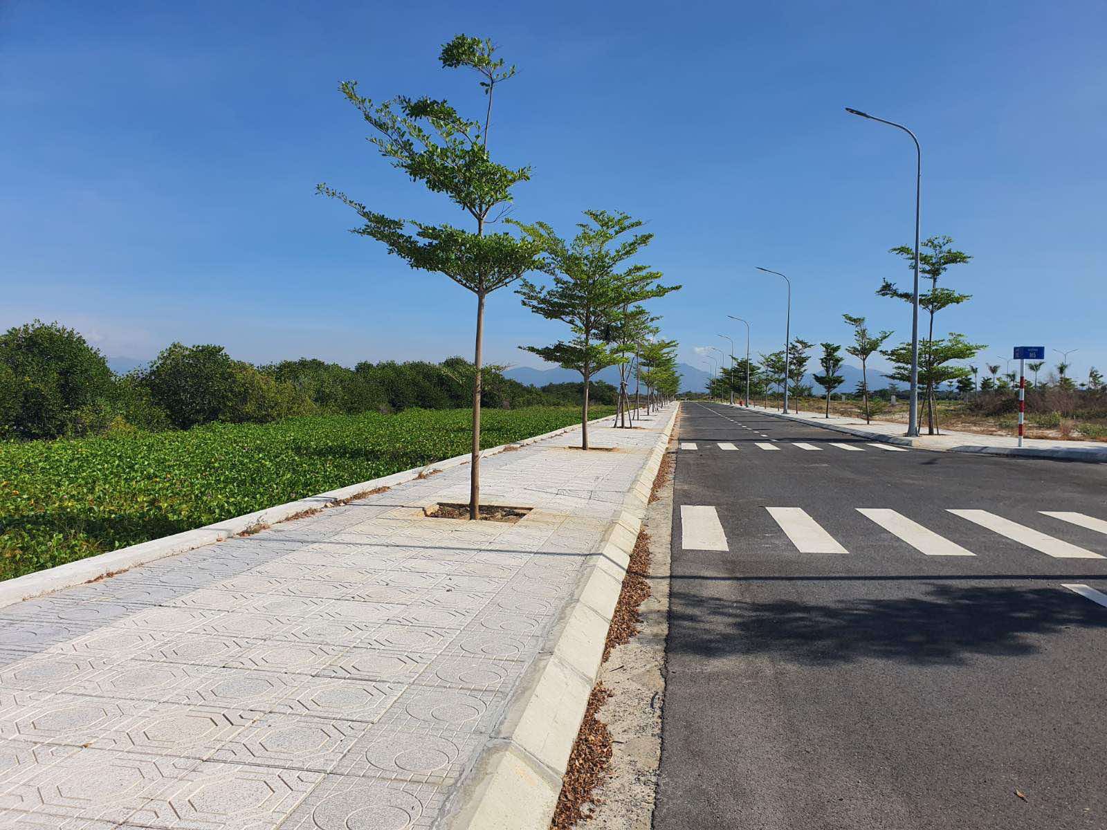 Cần bán lô view đầm dự án Cam Ranh City Gate, DT: 200m2 giá chỉ từ 40tr/m2 - Hình 3